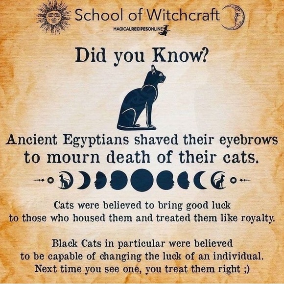 $3 WITCH CAT PIN BROOCH. ENAMEL METAL. NEW. $3 IF BUNDLED - Picture 15 of 16